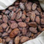 Kakaobohnen in einem geöffneten Sack